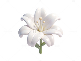 白色百合花写实图92
