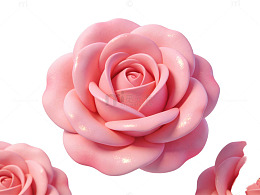 粉色玫瑰花特写00