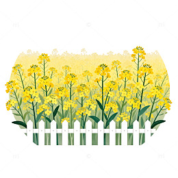 田园油菜花插画素材