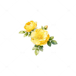 AI绘制黄色花朵插画