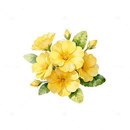 水彩黄花花卉插画设计素材