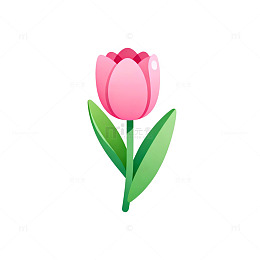 AI生成粉色郁金香插画