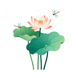 插画荷花蜻蜓清新自然