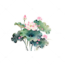 水彩荷花艺术插画