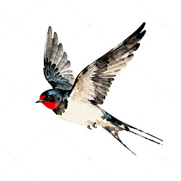 AI生成燕子飞行动画