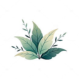 简约风植物插画设计素材