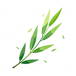 简约绿色植物插画
