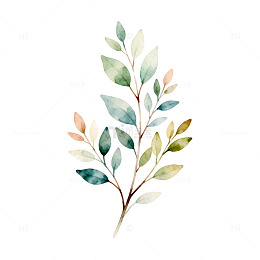 水彩植物插画叶子装饰图案