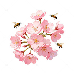 樱花与蜜蜂手绘插画
