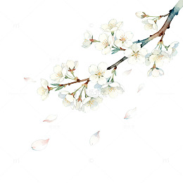 淡雅樱花水墨画设计素材