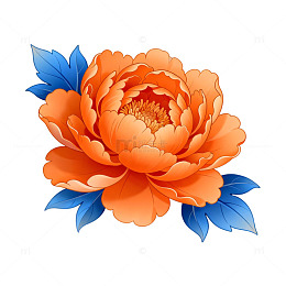 牡丹花卉插画矢量图素材