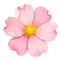 粉色花朵插画平面设计素材