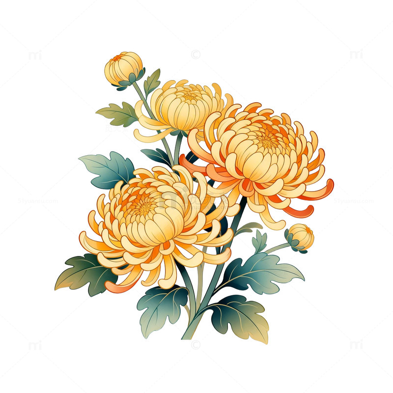 传统手绘菊花装饰画素材免费下载_觅元素