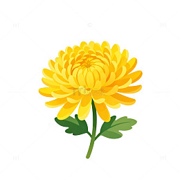 卡通菊花矢量插画