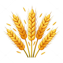 卡通风格小麦插画设计素材