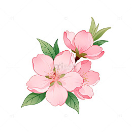 粉色花卉插画设计素材