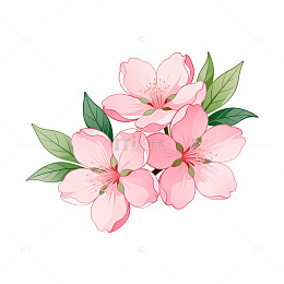 水彩樱花盛开插画