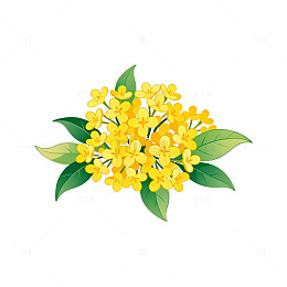 插画风格桂花花卉设计元素