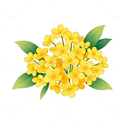 卡通风格油菜花插画