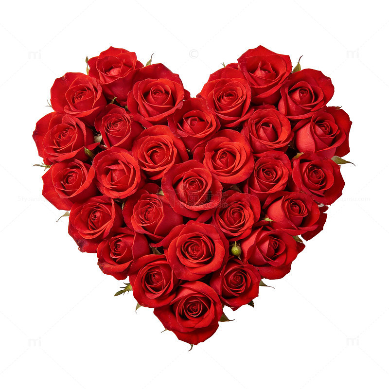 心形玫瑰花束爱情浪漫