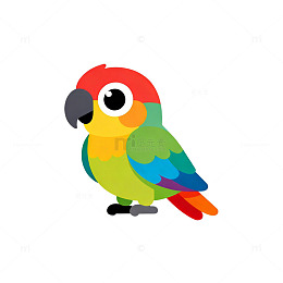 彩色鹦鹉卡通插画