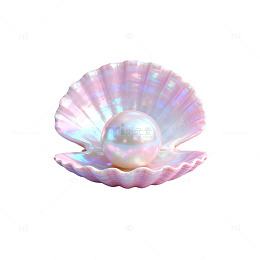 珍珠贝壳美景图