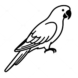 黑白简笔画鹦鹉图案