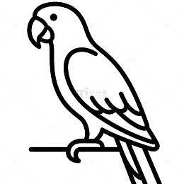 简约线条鹦鹉插画