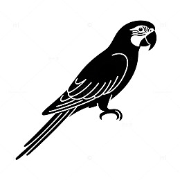 黑白剪影鹦鹉插画