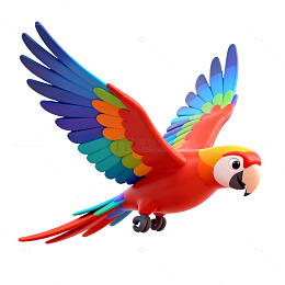 多彩鹦鹉3D模型设计素材