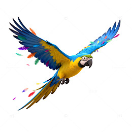 飞翔鹦鹉艺术插画