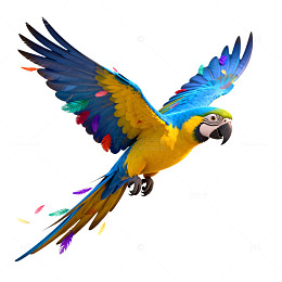 飞翔金刚鹦鹉插画