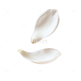 简约花瓣悬浮艺术图