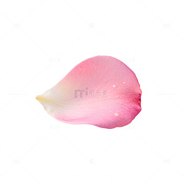 淡雅粉色玫瑰花瓣插画素材