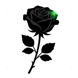 黑色玫瑰剪影艺术图案