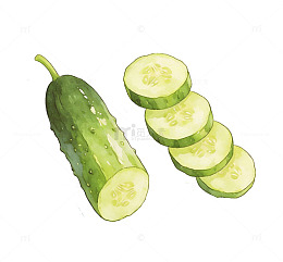 水彩画黄瓜与切片插图