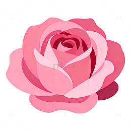 粉色玫瑰花矢量插画