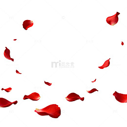 玫瑰花瓣飞舞浪漫背景