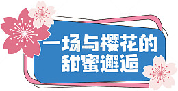 樱花邂逅甜蜜时光