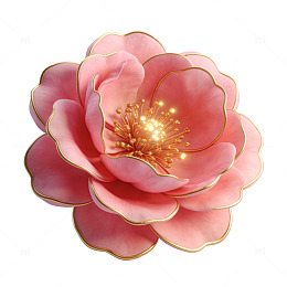 精致粉色花朵装饰图案