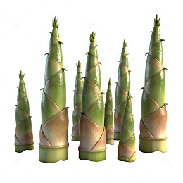 竹笋生长过程特写摄影