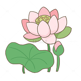 荷花植物免抠元素