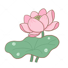 荷花植物露珠免抠元素