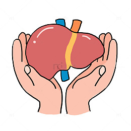 手绘卡通全国爱肝日免抠元素