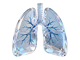 透明玻璃质感肺部模型