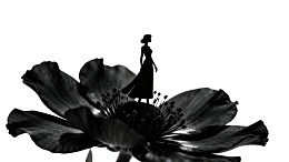 女子剪影立于花蕊之上