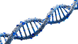 蓝色双螺旋DNA分子结构