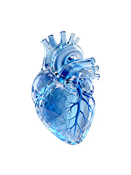 蓝色半透明心脏模型图片