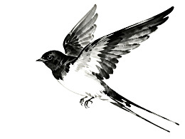 黑白水墨画中的飞翔燕子