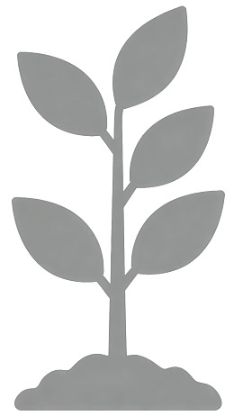 灰色植物生长剪影图片